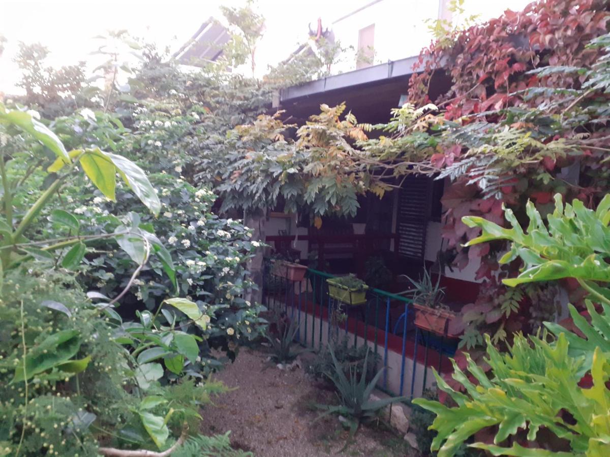 Bed & Breakfast Paui Cabras Exterior photo