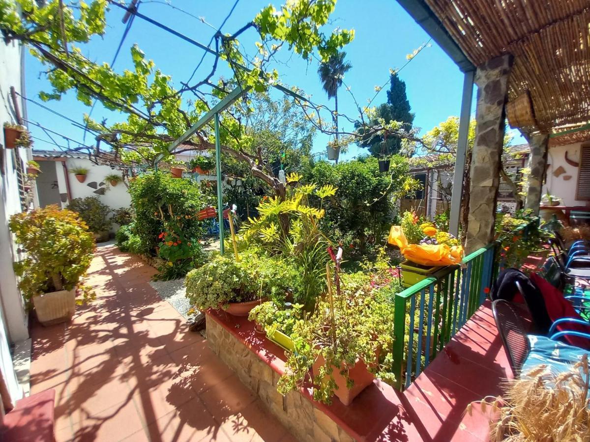 Bed & Breakfast Paui Cabras Exterior photo