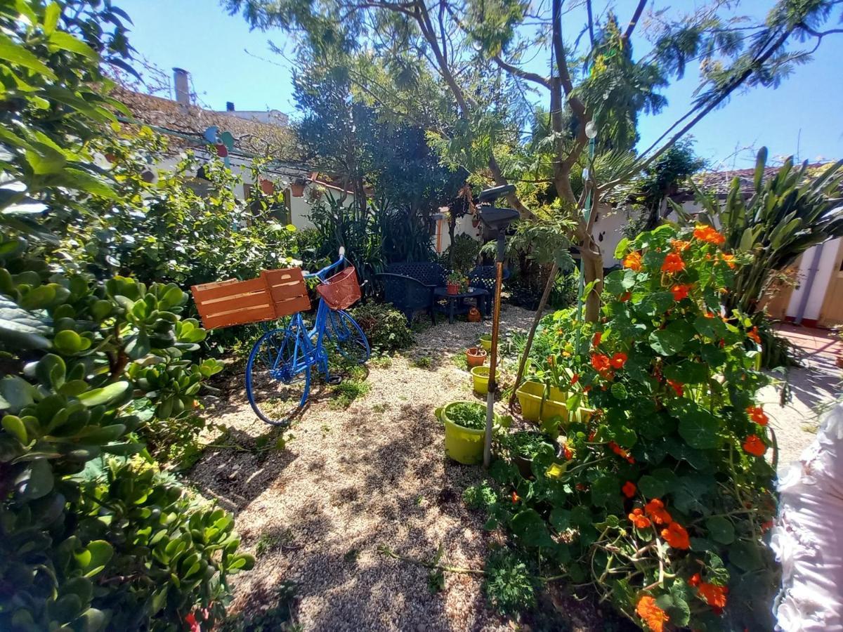Bed & Breakfast Paui Cabras Exterior photo