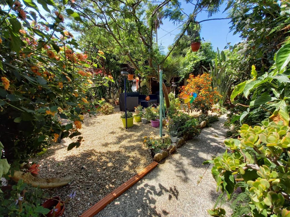 Bed & Breakfast Paui Cabras Exterior photo